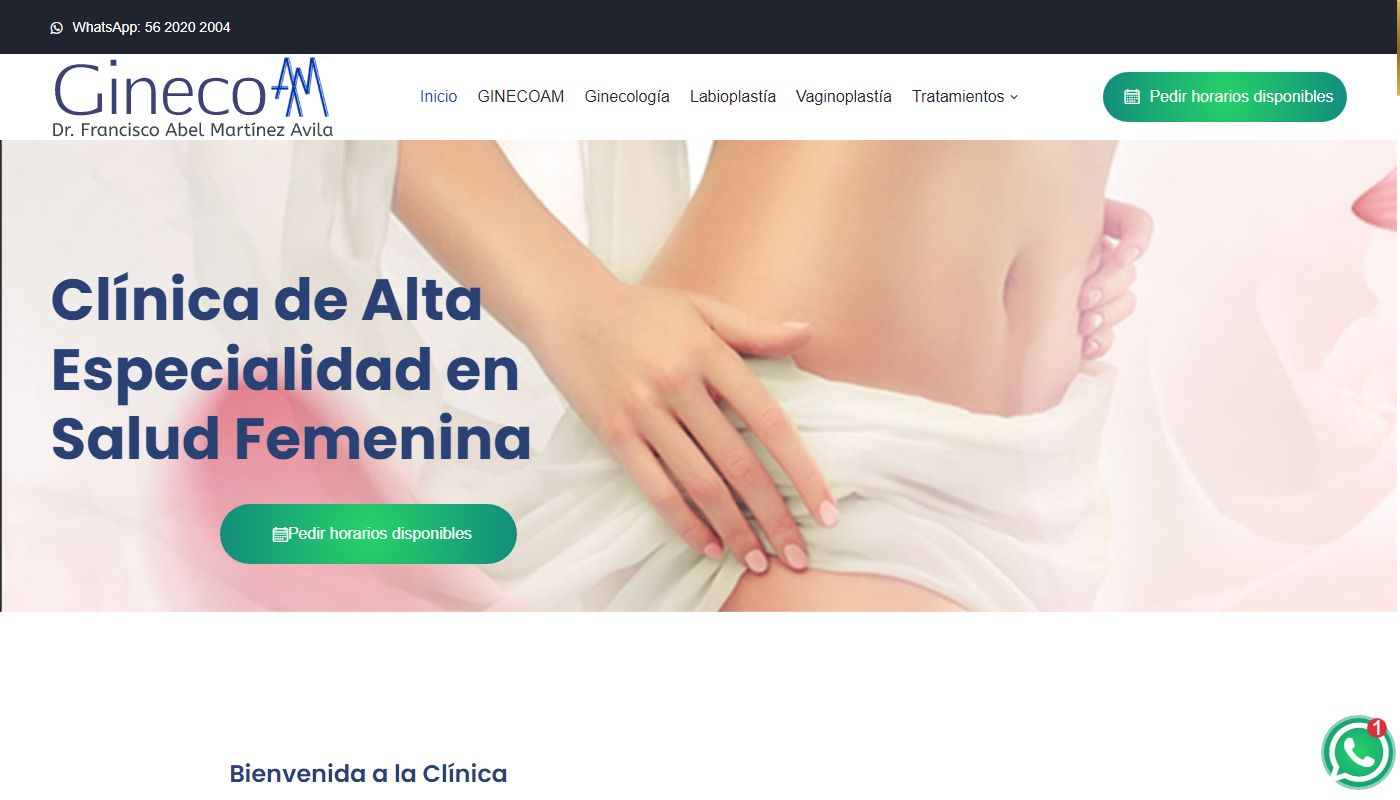 Screenshot de Ginecólogo y Labioplastía en CDMX Dr. Francisco Abel Martínez Ávila